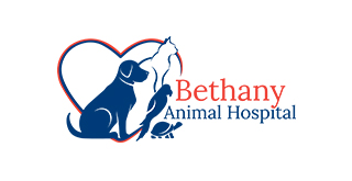 Bethany Animal Hospital