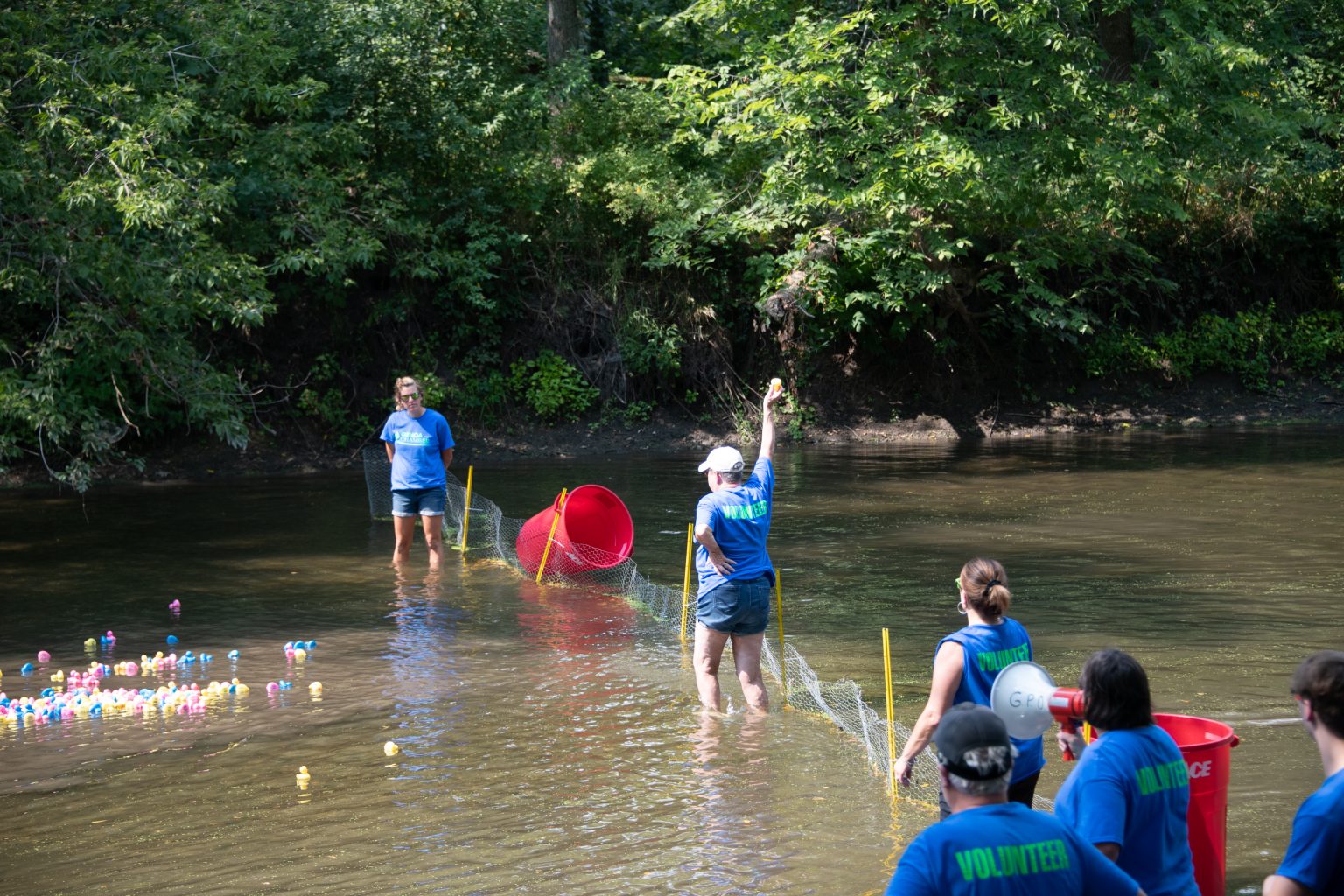 The Great Genoa Duck Race Genoa Area Chamber